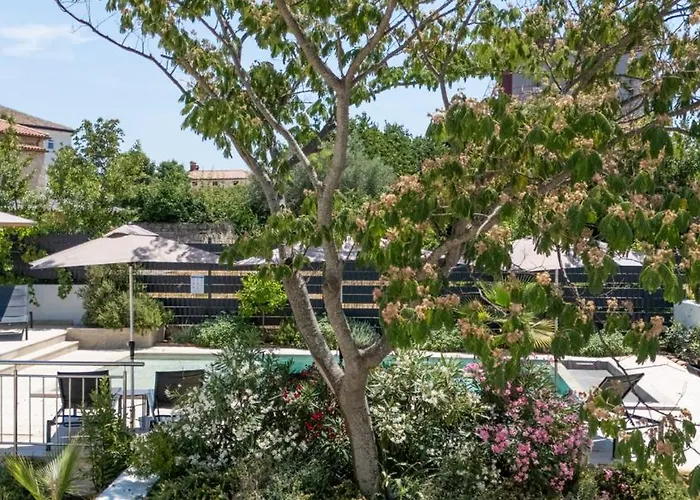 Villa Verde Višnjan *